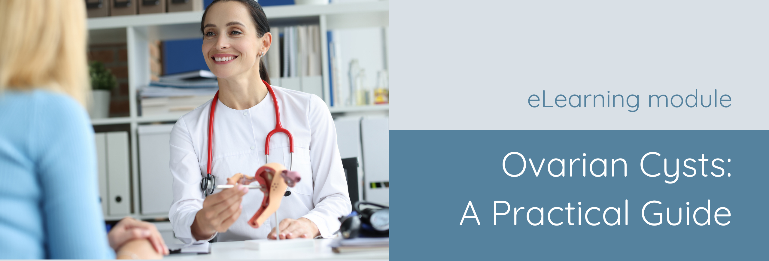 Ovarian Cysts: A Practical Guide 