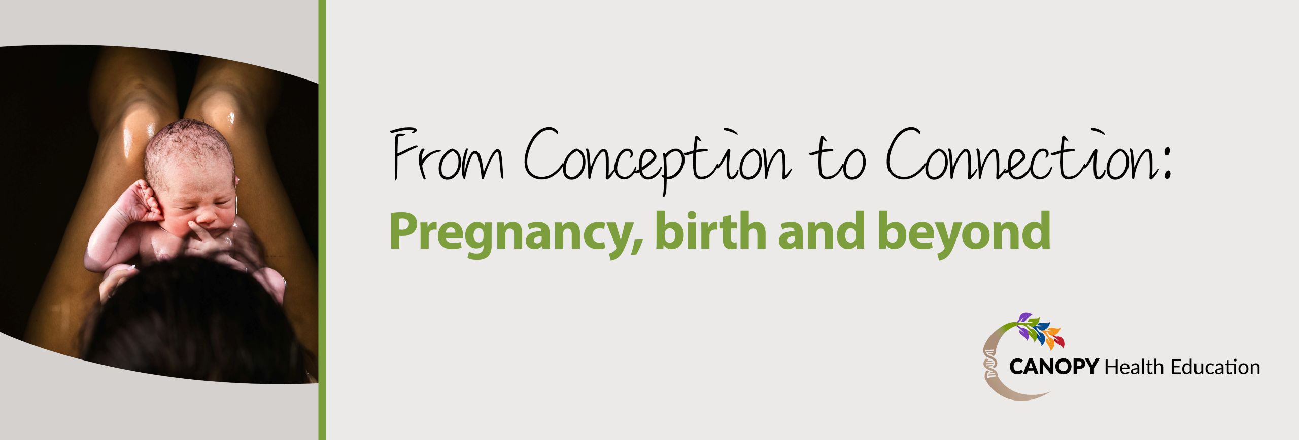 From Conception to Connection: Pregnancy, Birth and Beyond