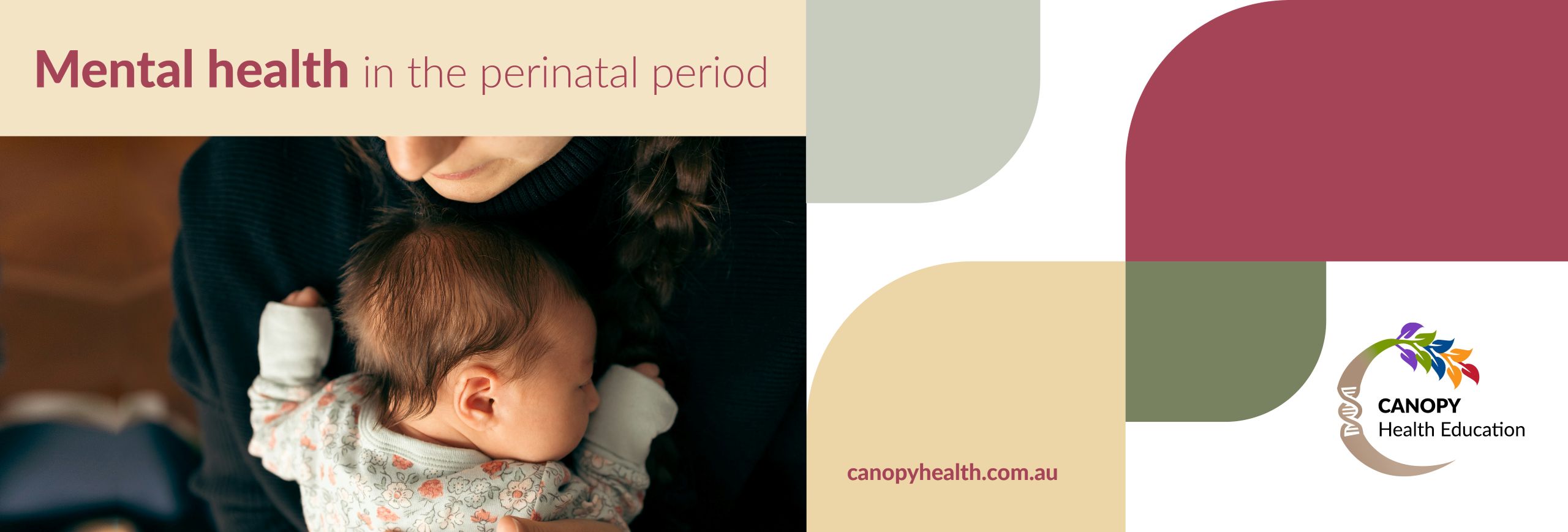 Mental Health in the Perinatal Period